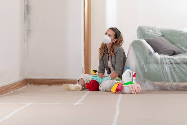 Reliable Basement Mold Remediation contractor in Yorktown, VA by WQB Mold Removal